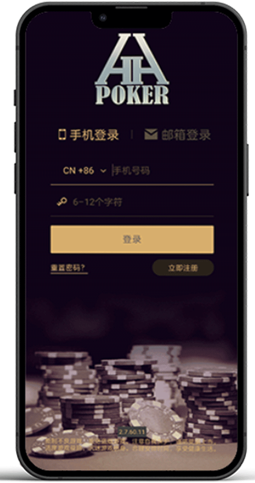 版本与体系核对界面示意